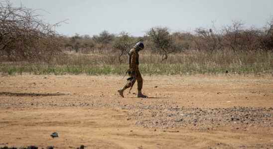 In Burkina Faso the army announces that it has killed