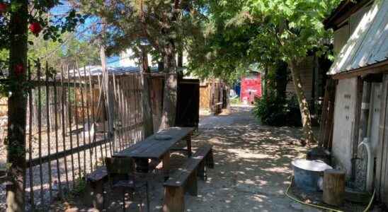 In Nanterre the Ferme du Bonheur is threatened with disappearance