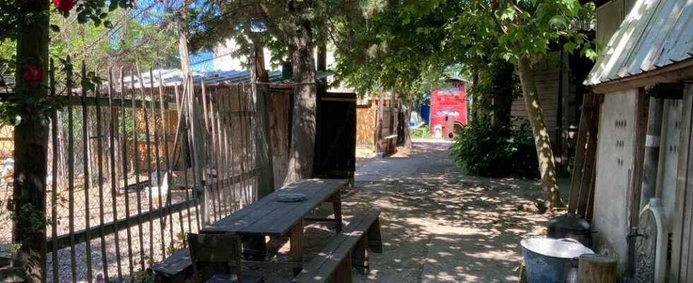 In Nanterre the Ferme du Bonheur is threatened with disappearance