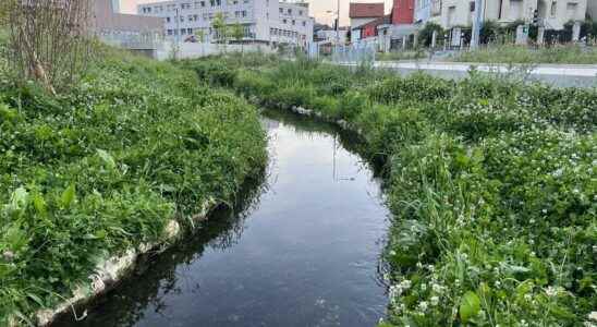 In the Val de Marne the rebirth of the Bievre the buried