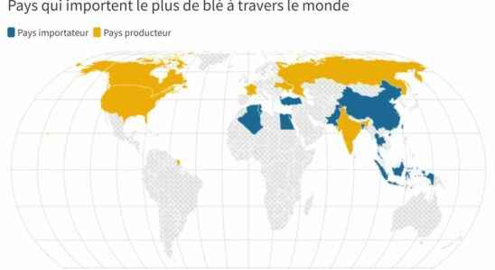 India suspends wheat exports these countries particularly affected by this