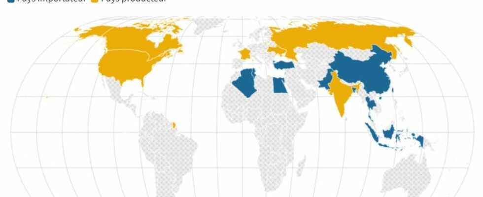 India suspends wheat exports these countries particularly affected by this