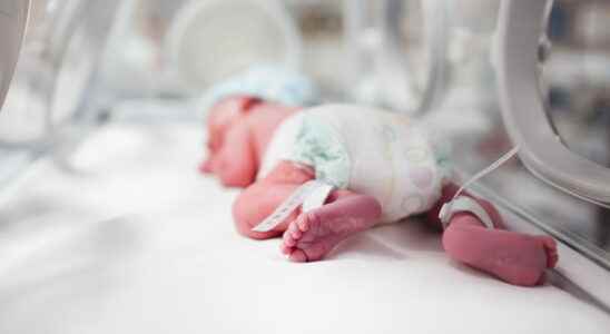 Infant mortality a rising rate since 2012