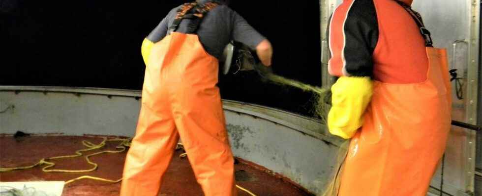 MARTINELLO Its in the blood for Lake Erie commercial fishermen