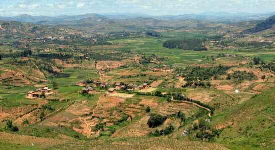 Malagasy civil society wants to protect land from foreign investors