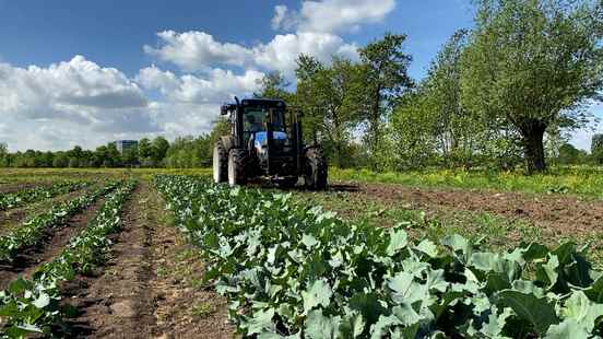 Mens farm Nieuw Bureveld opened This is how citizens regain