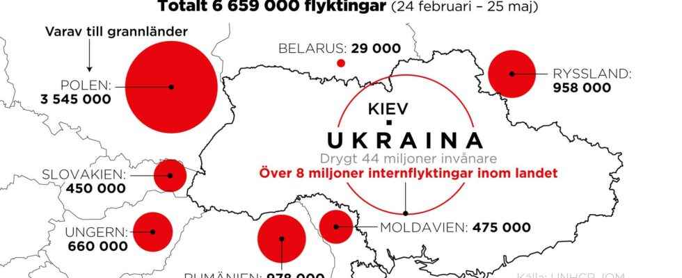 More than 66 million have fled Ukraine