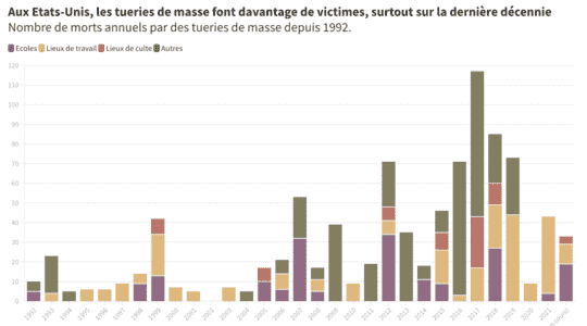 Number places age of the perpetrators Mass shootings in the