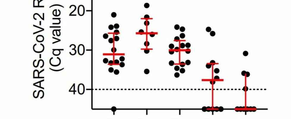 Omicron and viral load are we really testing ourselves at