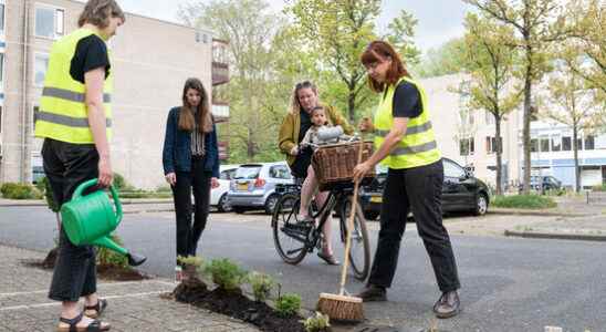 Plants occupy parking spaces in Overvecht You can do much