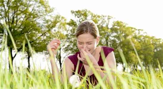 Pollen allergy the return of grasses