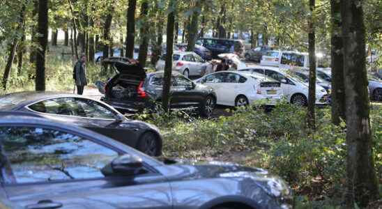 Possible paid parking in nature at Lage Vuursche