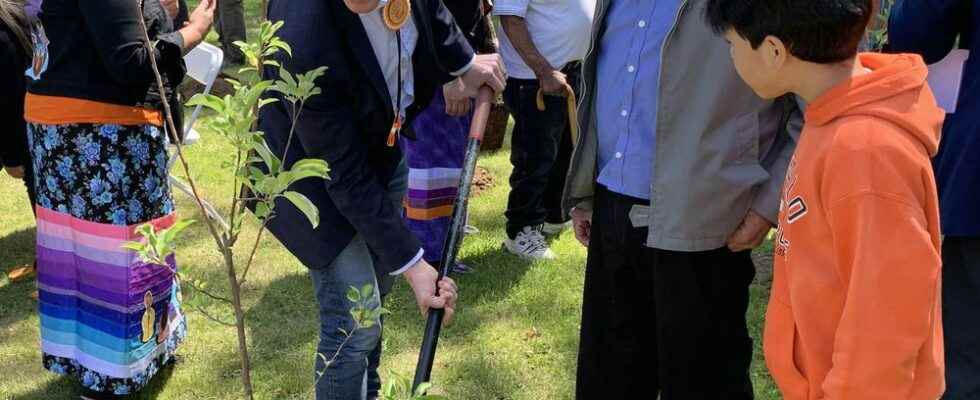 Residential school survivors are remembered by planting of apple trees