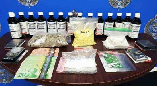 Sarnia duo charged following 31K drug raid police