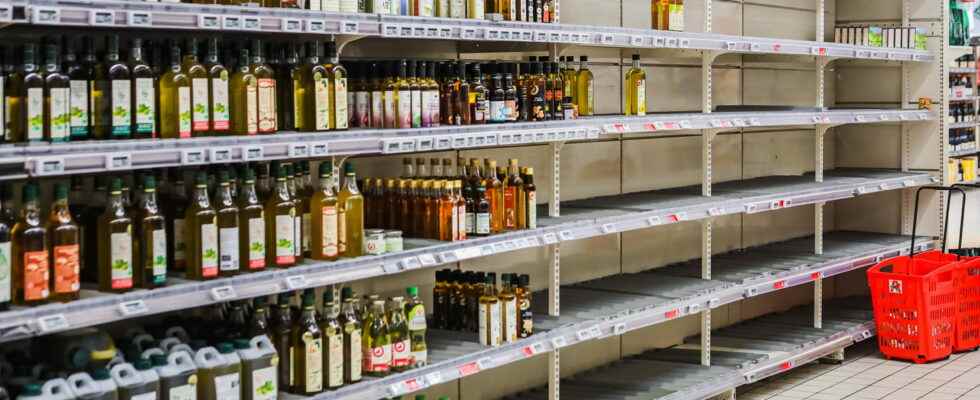 Shortage of sunflower oil after oil mustard is missing from