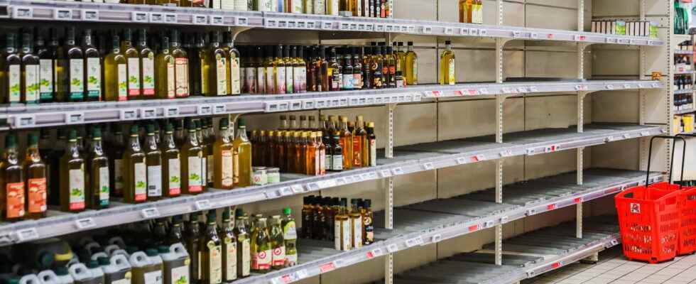 Shortage of sunflower oil our tips and alternatives to replace