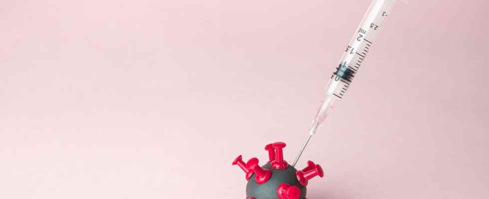 Smallpox vaccine date stopped in France