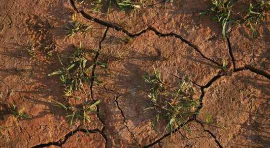 The drought is spreading in France and Europe and will