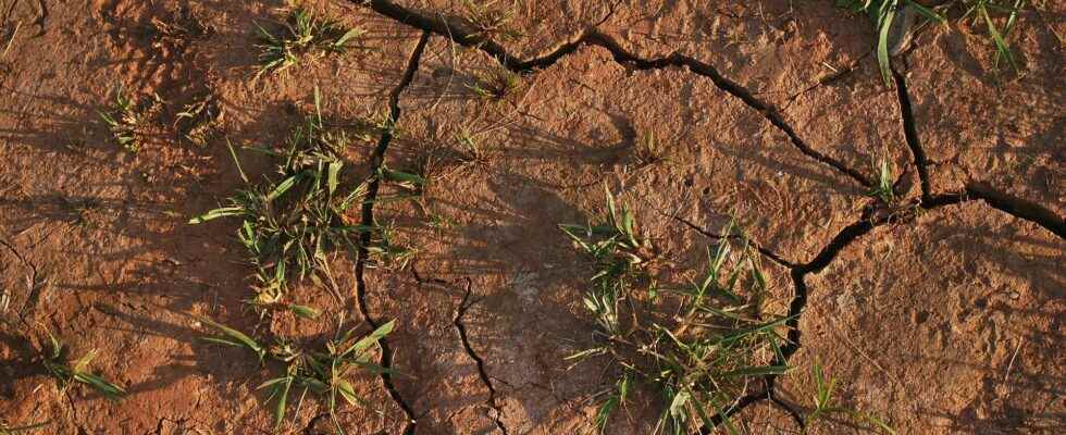 The drought is spreading in France and Europe and will