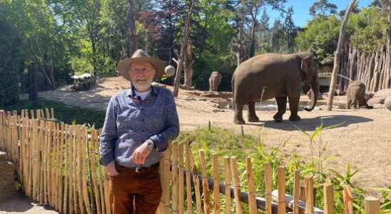 The webcam in Amersfoort Zoo is moving from the elephants