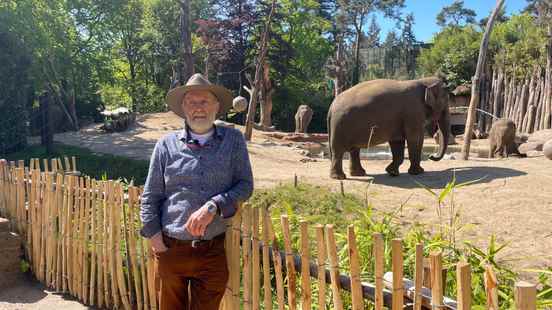 The webcam in Amersfoort Zoo is moving from the elephants