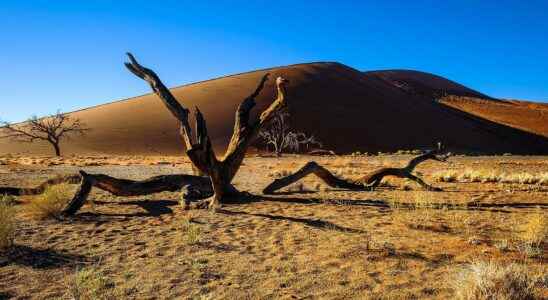 Tourism in Namibia 20 photos for a guided tour