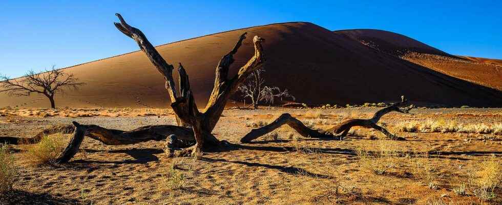 Tourism in Namibia 20 photos for a guided tour