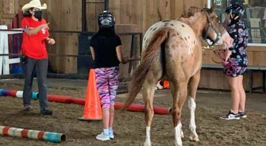 Trillium grant supports equine assisted learning program