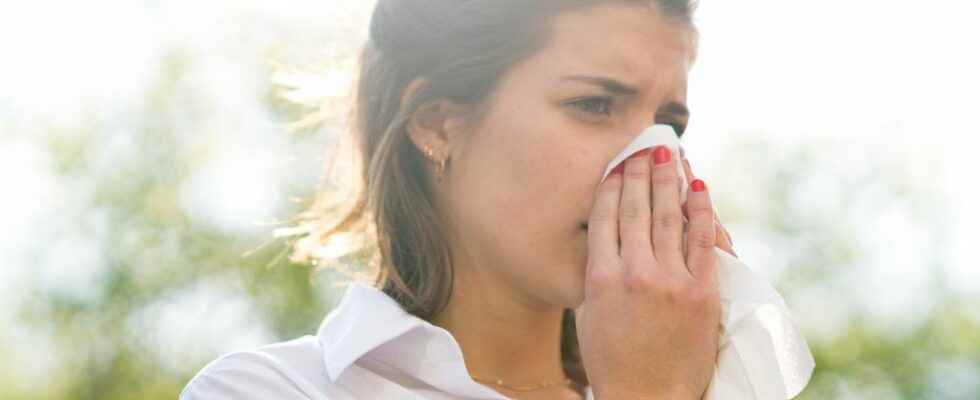 Which weather favors pollen allergies the most