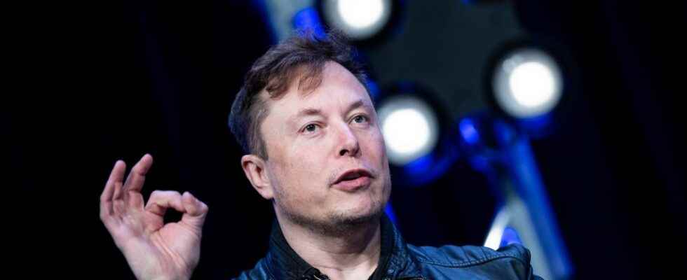 Will Elon Musk really buy Twitter