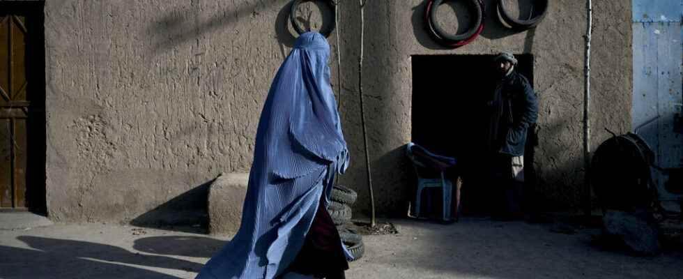 driving license restrictions for women in Herat