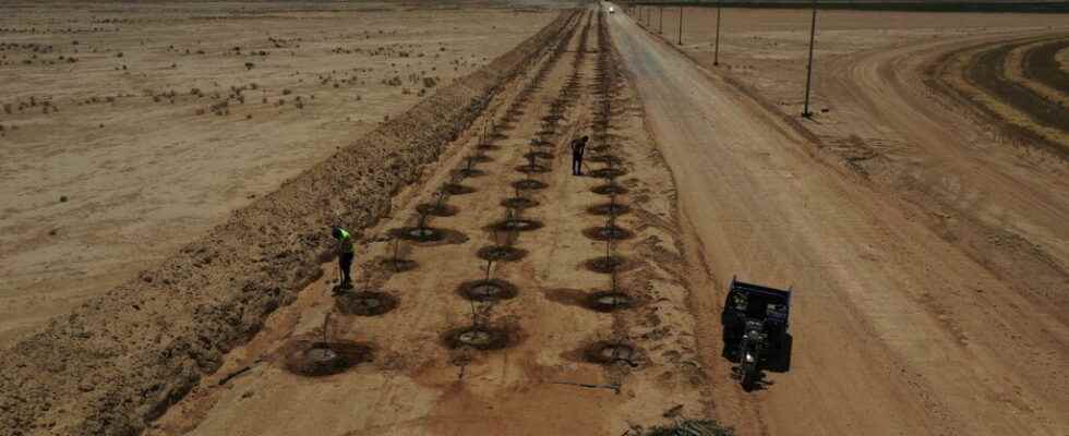 in Abidjan the COP15 on desertification enters its home stretch