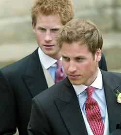 harry and william