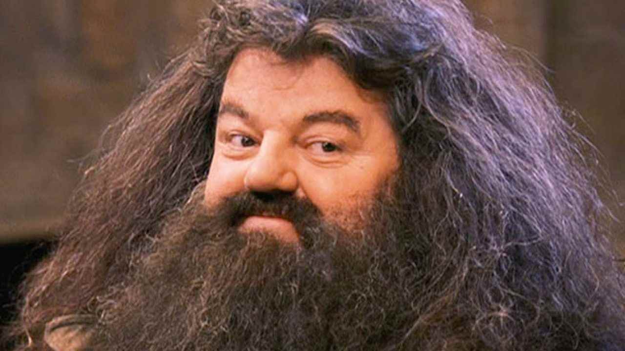 Rubeus Hagrid