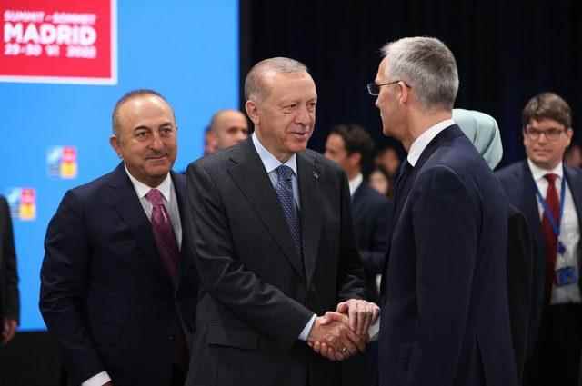 Erdogan and Stoltenberg