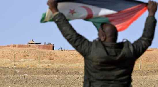 Algeria suspends cooperation treaty with Spain