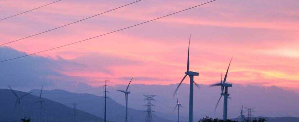 An indigenous community obtains the cancellation of a mega wind