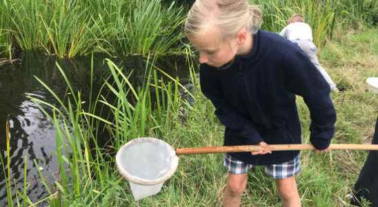 Children count which animals live in the ditch during the