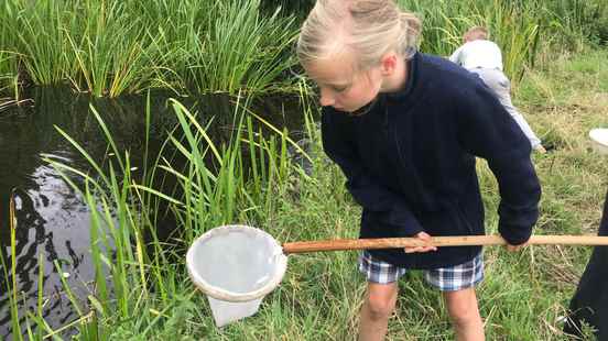 Children count which animals live in the ditch during the