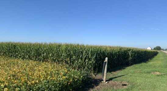 Crop tour registration opens