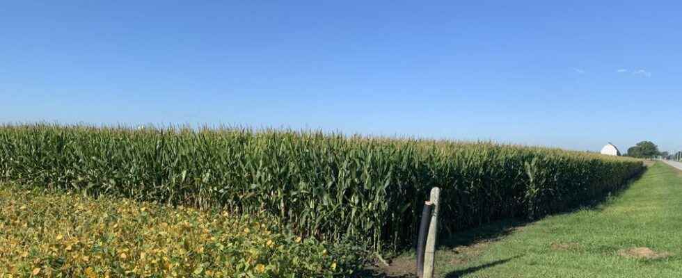 Crop tour registration opens