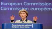 EU Commission recommends Ukraine as official candidate Ukraine has