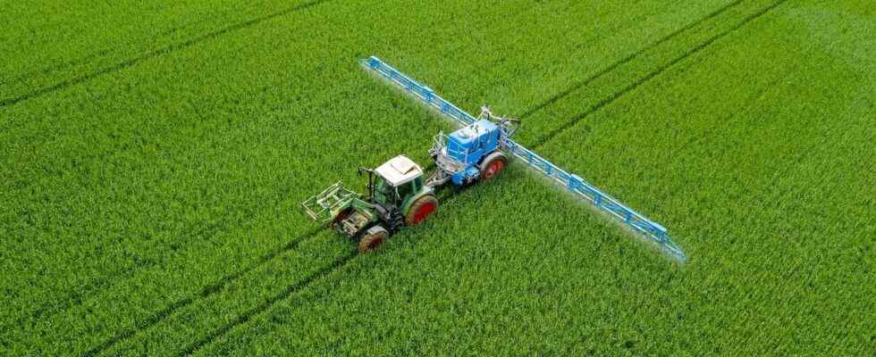 Glyphosate the herbicide is not carcinogenic according to a European