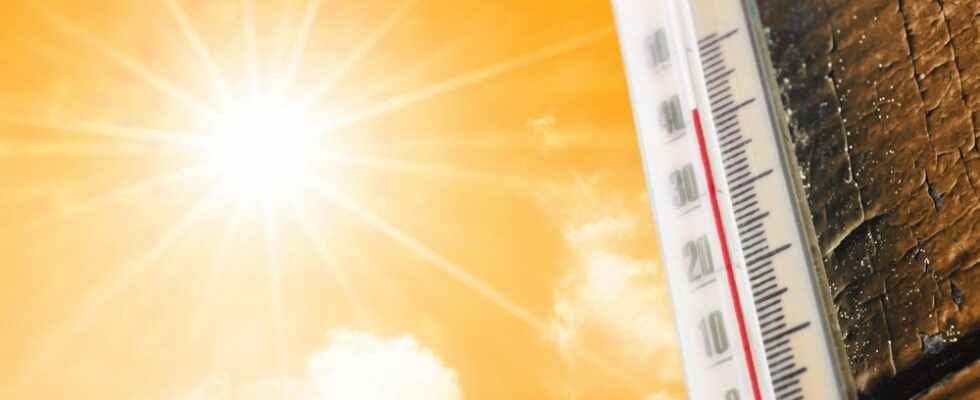 Heat warning in Chatham Kent for Thursday Friday