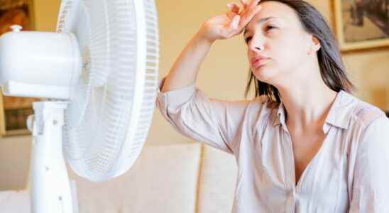 Heat wave definition health effects what dangers