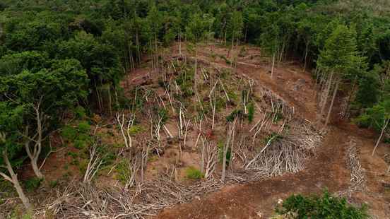 How a fall wind caused havoc in Leersum 1 year