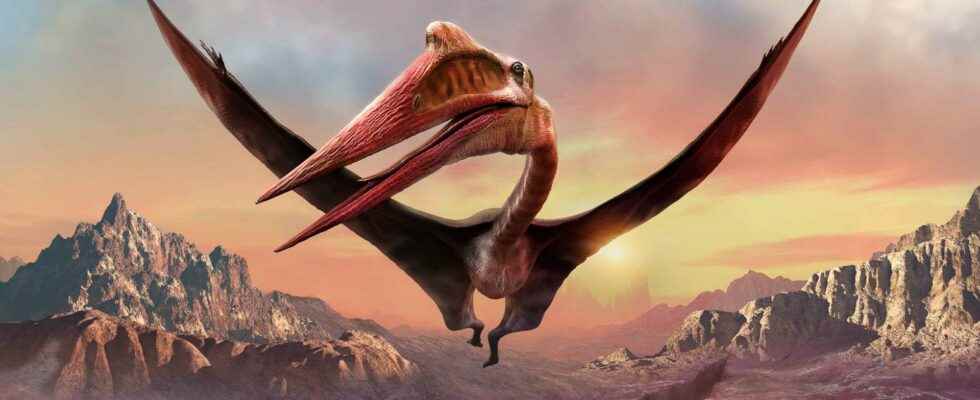 How did the reptiles and giant birds of the past