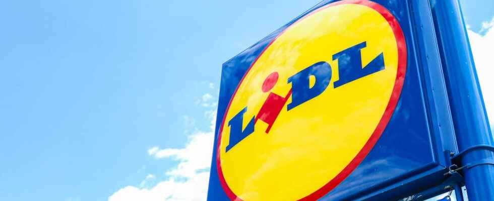 Lidl catalog promotions of the week until July 5