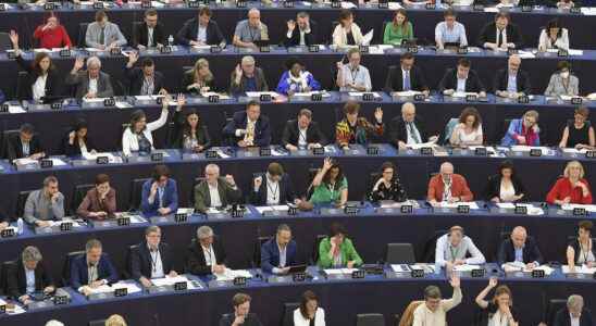 MEPs reject a not ambitious enough key text for carbon