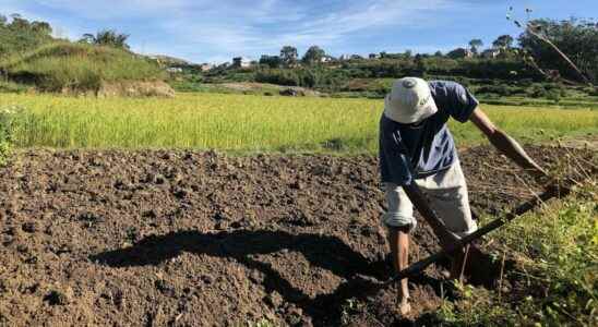 Madagascar wants to improve its agricultural sector to achieve food